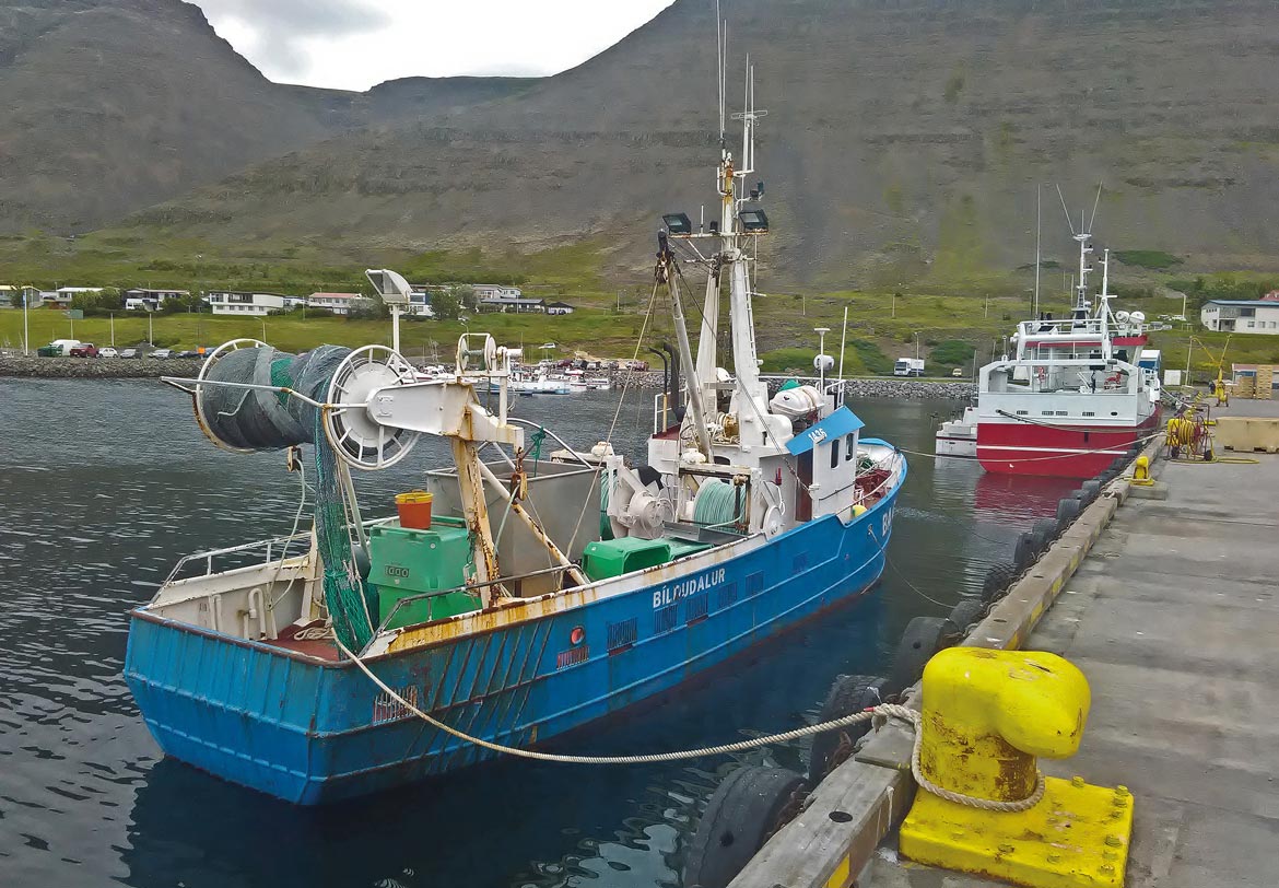 Kikötőben – A tengeri halászat ma is alapvető izlandi iparág. Fontosságához kétség sem fér, s ezért nem meglepő, hogy nagy figyelmet kap a munkaerőhiány (az izlandi fiatalok körében igen jelentős az elvándorlás, főleg Észak-Amerika felé) és az izlandi vizek környékén settenkedő versenytárs, idegen flották időszakos megjelenése is