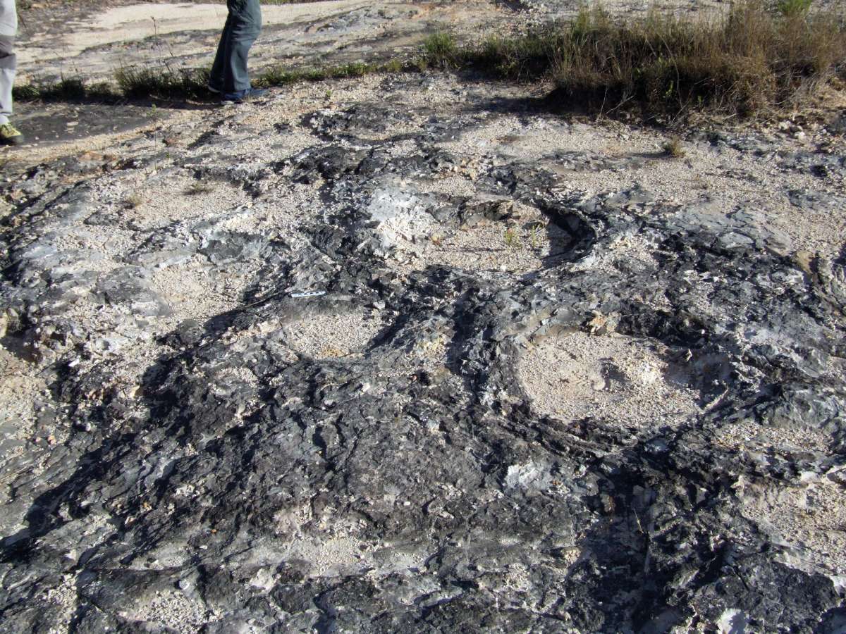 Sauropoda dinoszauruszok lábnyomai jura időszaki homokdűnékben