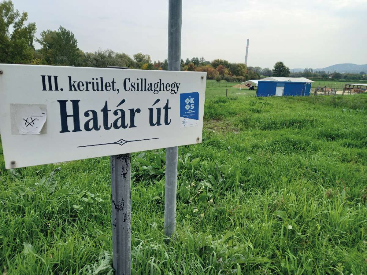 Fotó: Szigeti Ferenc Albert