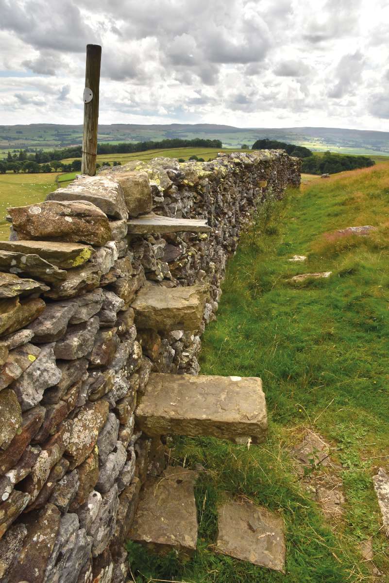 Lépőkövek egy yorkshire-i kőkerítésen: ezek helyettesítik a létrát – Nagyobb utaknál természetesen vannak kapuk, de a kisebb ösvényeken járva számtalan ehhez hasonló „kerítés-átkelésre” kell számítani Fotó: Telbisz Tamás