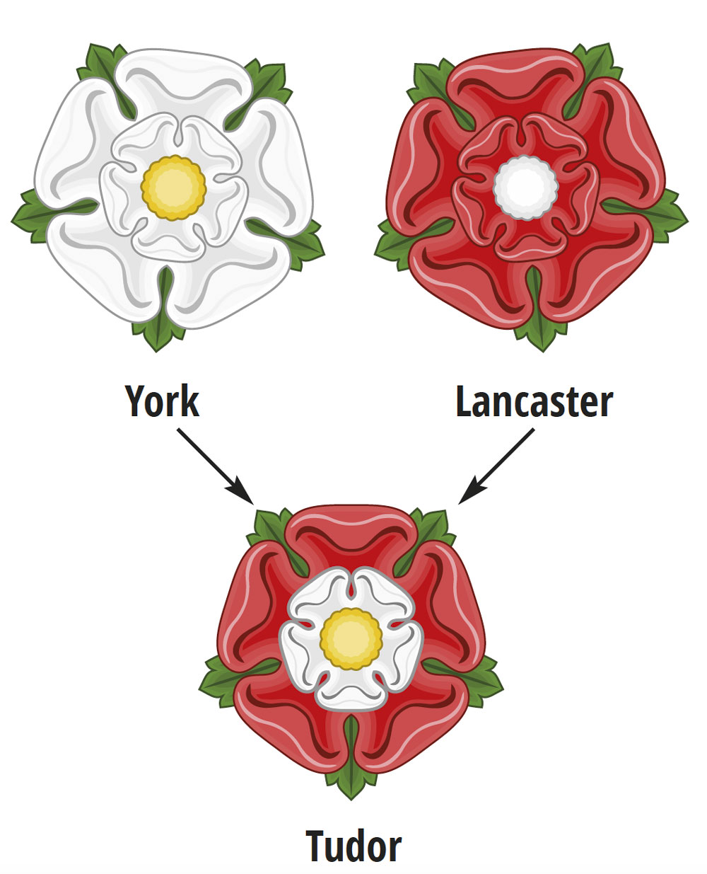 A rózsák összeolvadása – A York-ház fehér és a Lancaster-ház piros rózsájából alakult ki a kombinált Tudor-rózsa. Ezzel a szimbólummal sok angol műemléken lehet találkozni szerte az országban Fotó: Telbisz Tamás