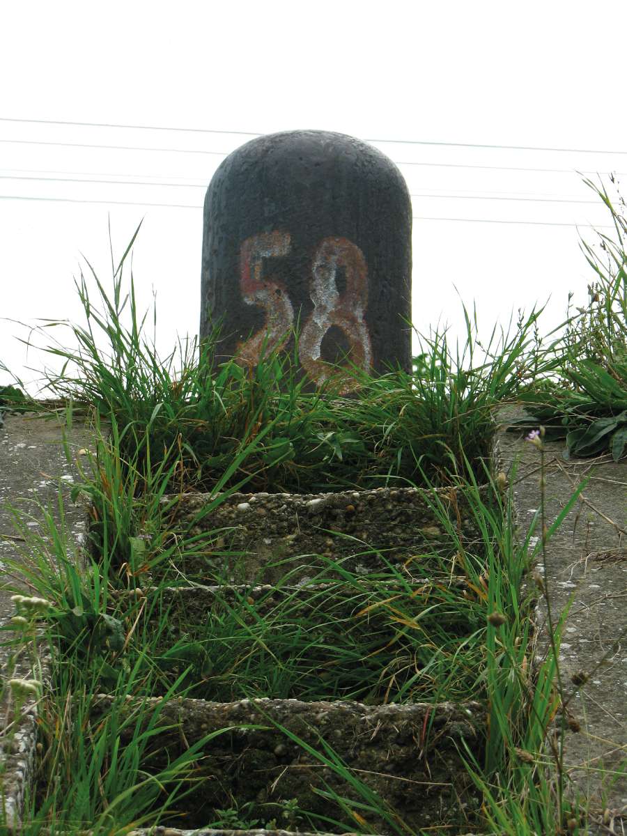 Fotó: Tamáska Máté