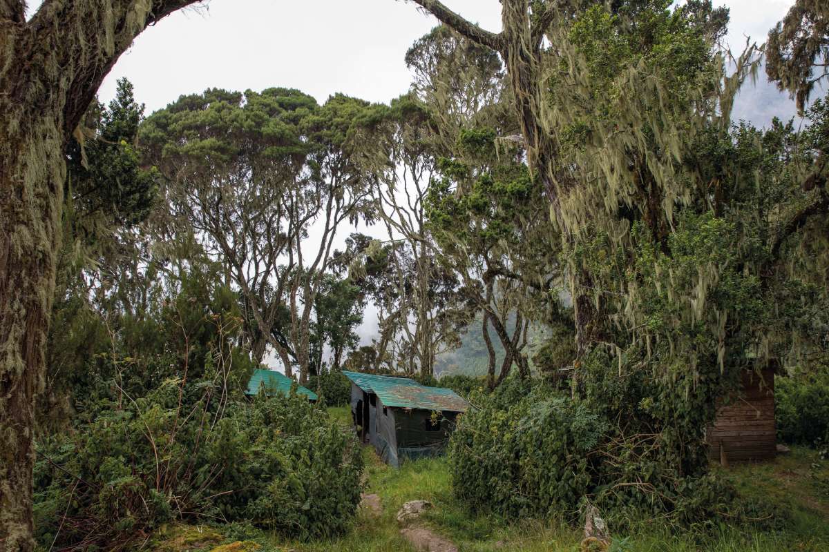 Fotó: Radics Tamás – Rada