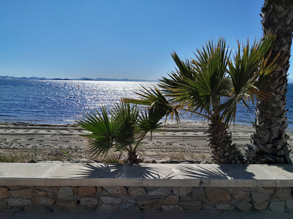 Fotó: Szigeti Ferenc Albert