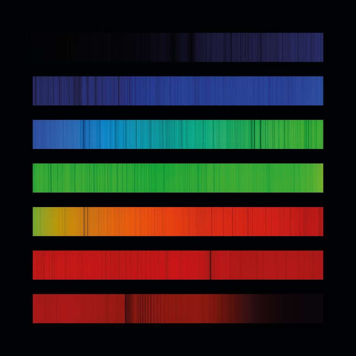 Fénykép: Papp András