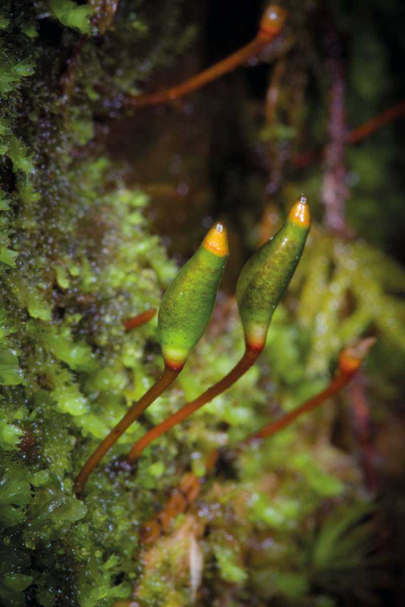 Fotó: Jakab Gusztáv
