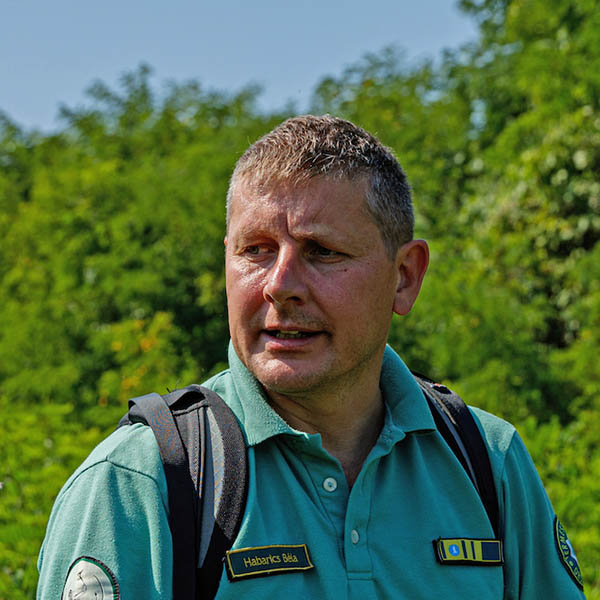 Habarics Béla
